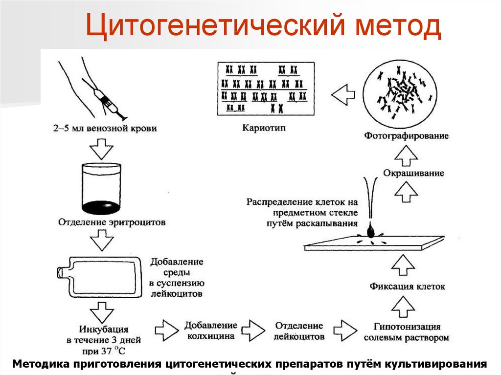 Рис.1