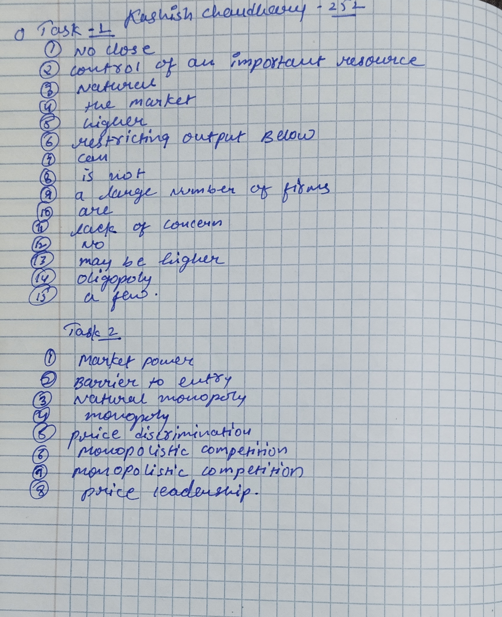 Приложение KASHISH Chaudhary .jpg