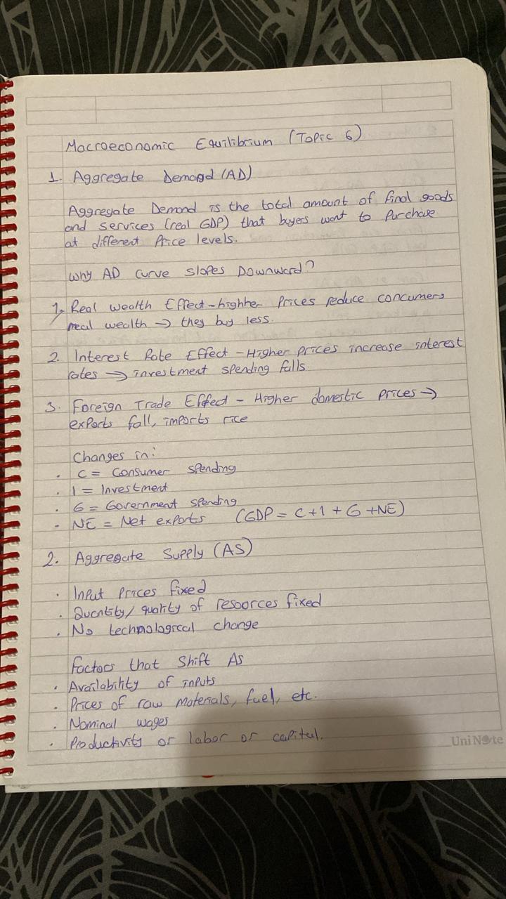 Приложение IMG_6044.jpeg